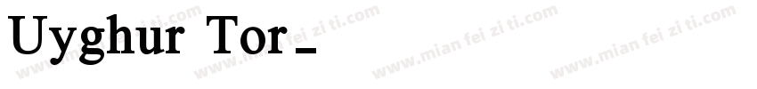 Uyghur Tor字体转换